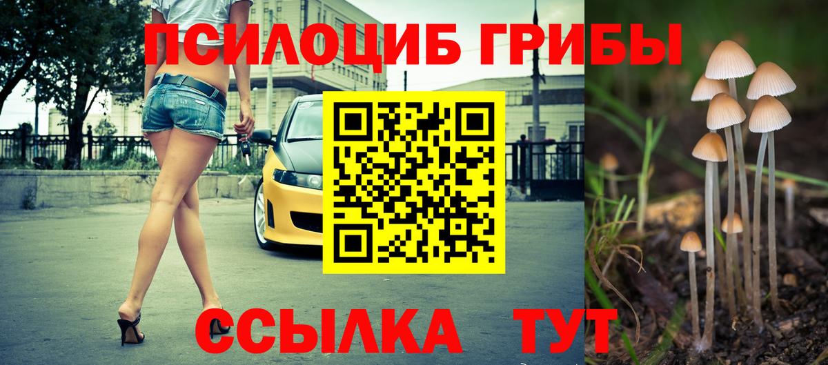 Псилоцибиновые грибы мухоморы Петрозаводск